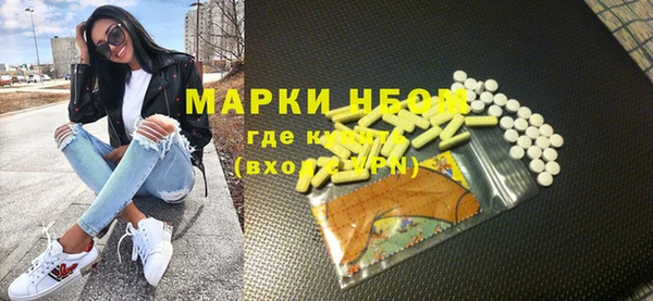 индика Арсеньев