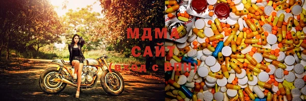 индика Арсеньев
