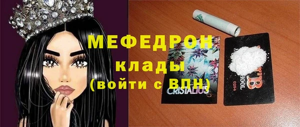индика Арсеньев