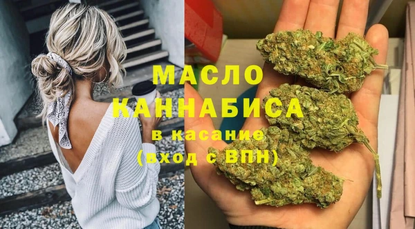 индика Арсеньев