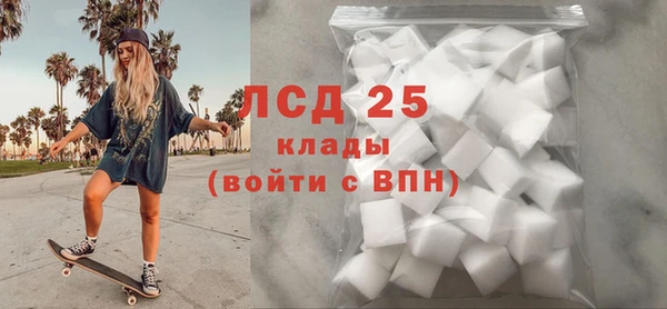 индика Арсеньев